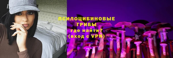 ГАЛЛЮЦИНОГЕННЫЕ ГРИБЫ Абдулино