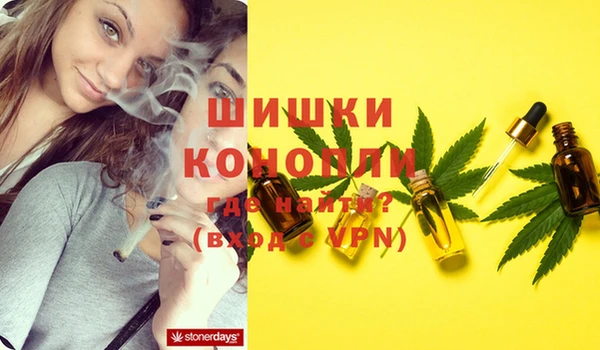 ГАЛЛЮЦИНОГЕННЫЕ ГРИБЫ Абдулино
