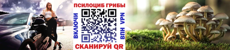 Галлюциногенные грибы ЛСД  Емва 